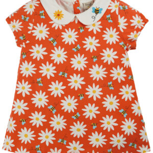 Maglia con Colletto ricamato-Daisy 🌼