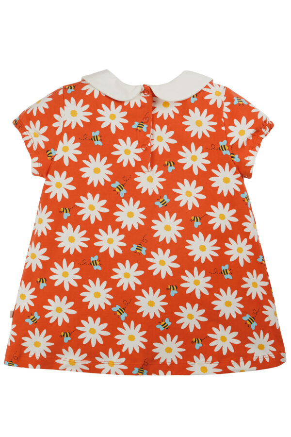 Maglia con Colletto ricamato-Daisy 🌼 - immagine 2