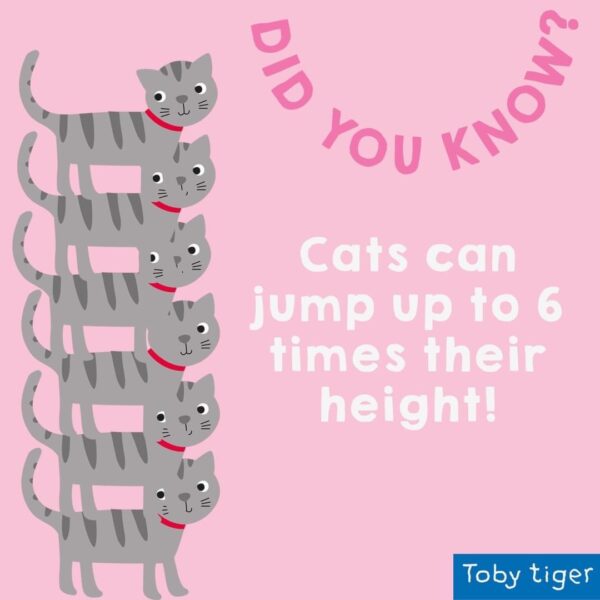 Tutina estiva in cotone organico-Gattino 🐈 - immagine 5